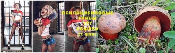 ПСИЛОЦИБИНОВЫЕ ГРИБЫ Богородск